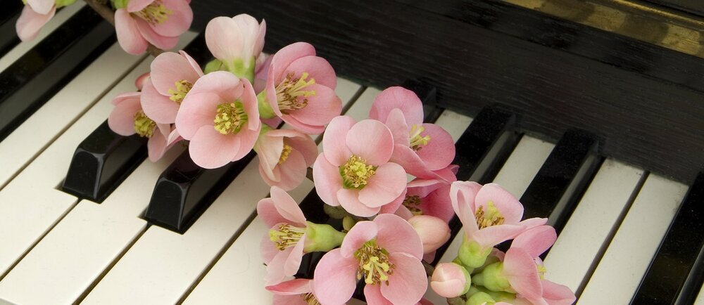 How Funeral Homes Help Ease the Burden of Arranging a Farewell